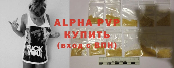 молекула духа Елизово