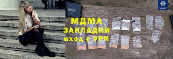 гашик Дмитров