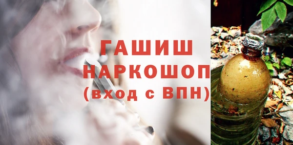 молекула духа Елизово