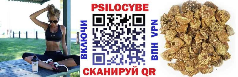Псилоцибиновые грибы Psilocybine cubensis  Купить где  Гусев 